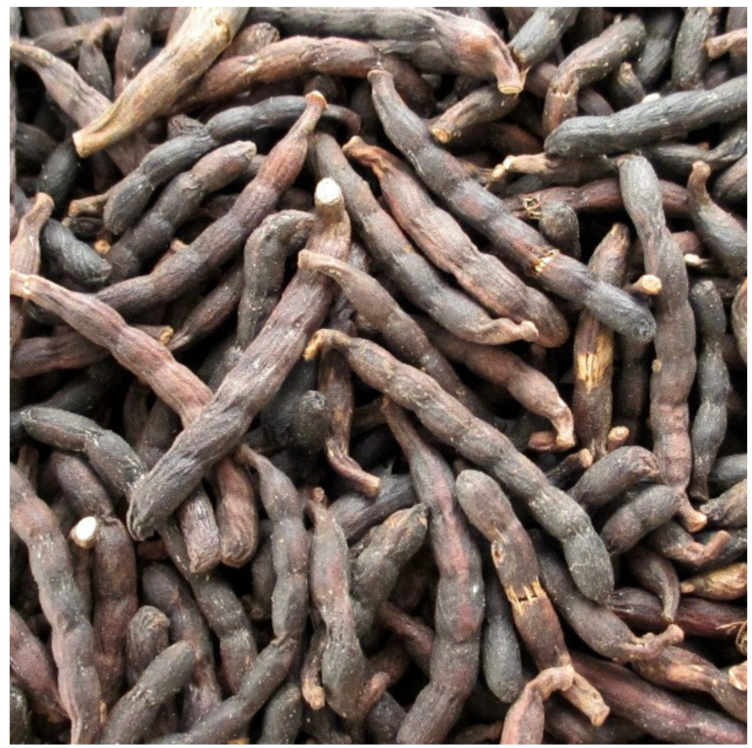 African Long Pepper